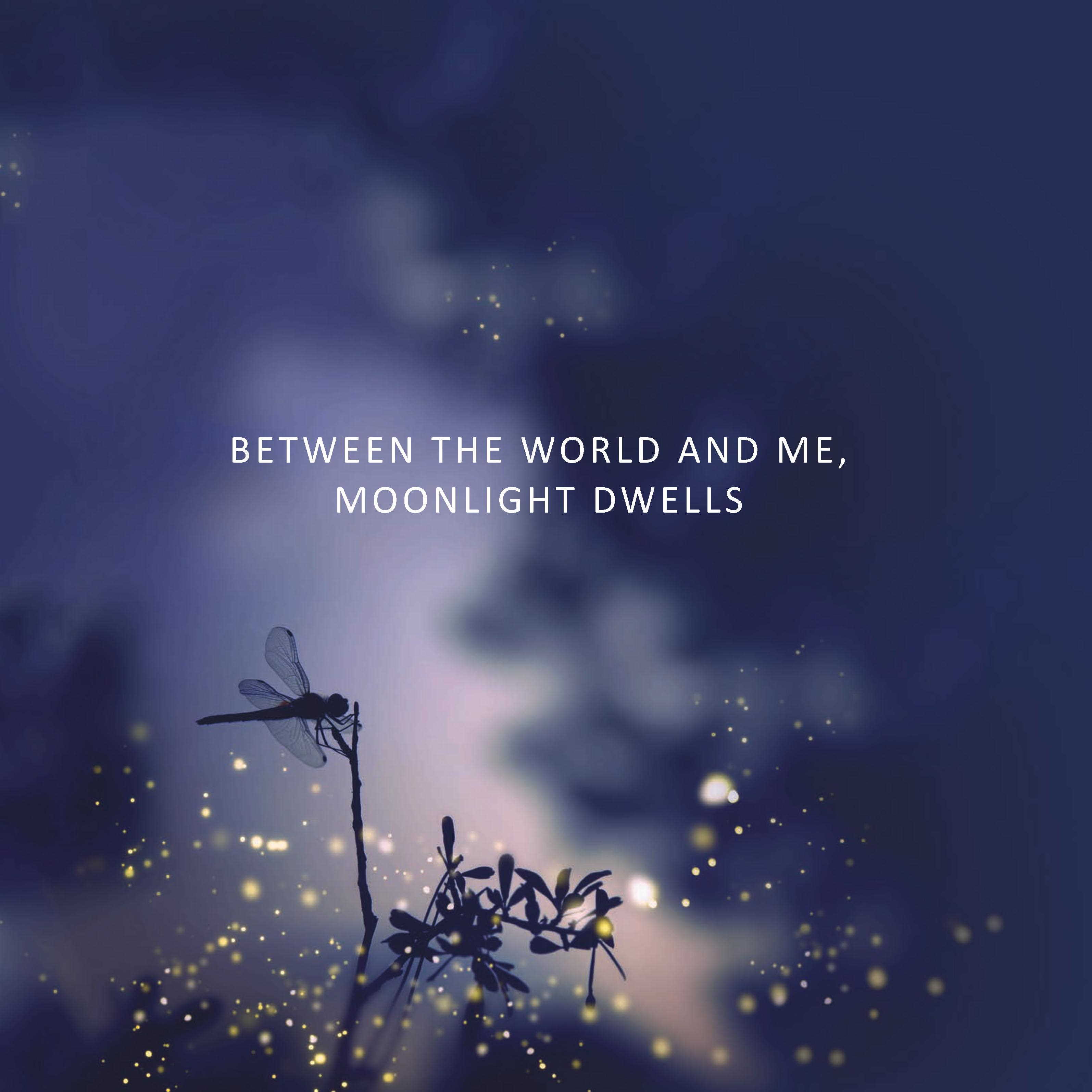 The Lilium - Between The World And Me, Moonlight Dwells